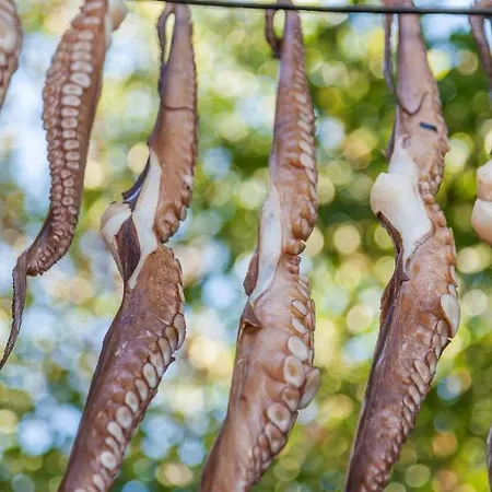 Elite Santorini 1 Bedroom Cycladic Character Private Jacuzzi וילה