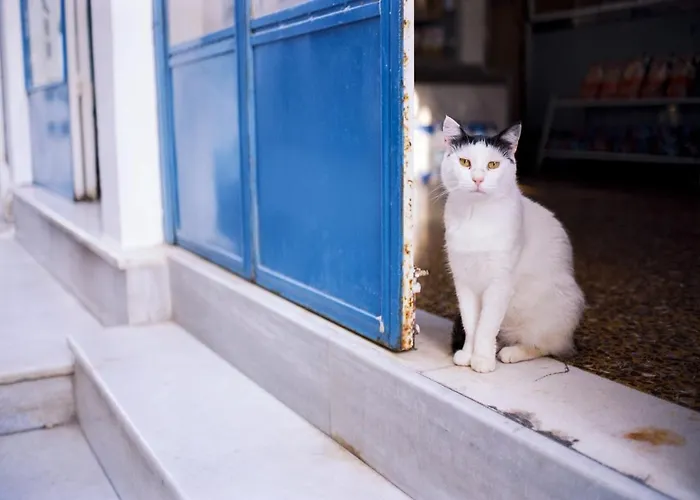 Elite Santorini 1 Bedroom Cycladic Character Private Jacuzzi Вилла