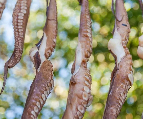 Elite Santorini 1 Bedroom Cycladic Character Private Jacuzzi Вилла