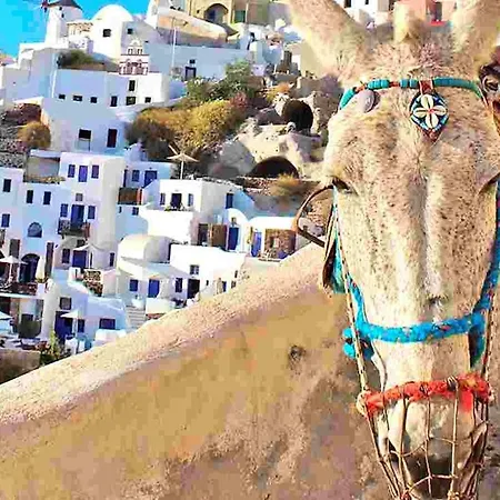 וילה Elite Santorini 1 Bedroom Cycladic Character Private Jacuzzi סנטוריני